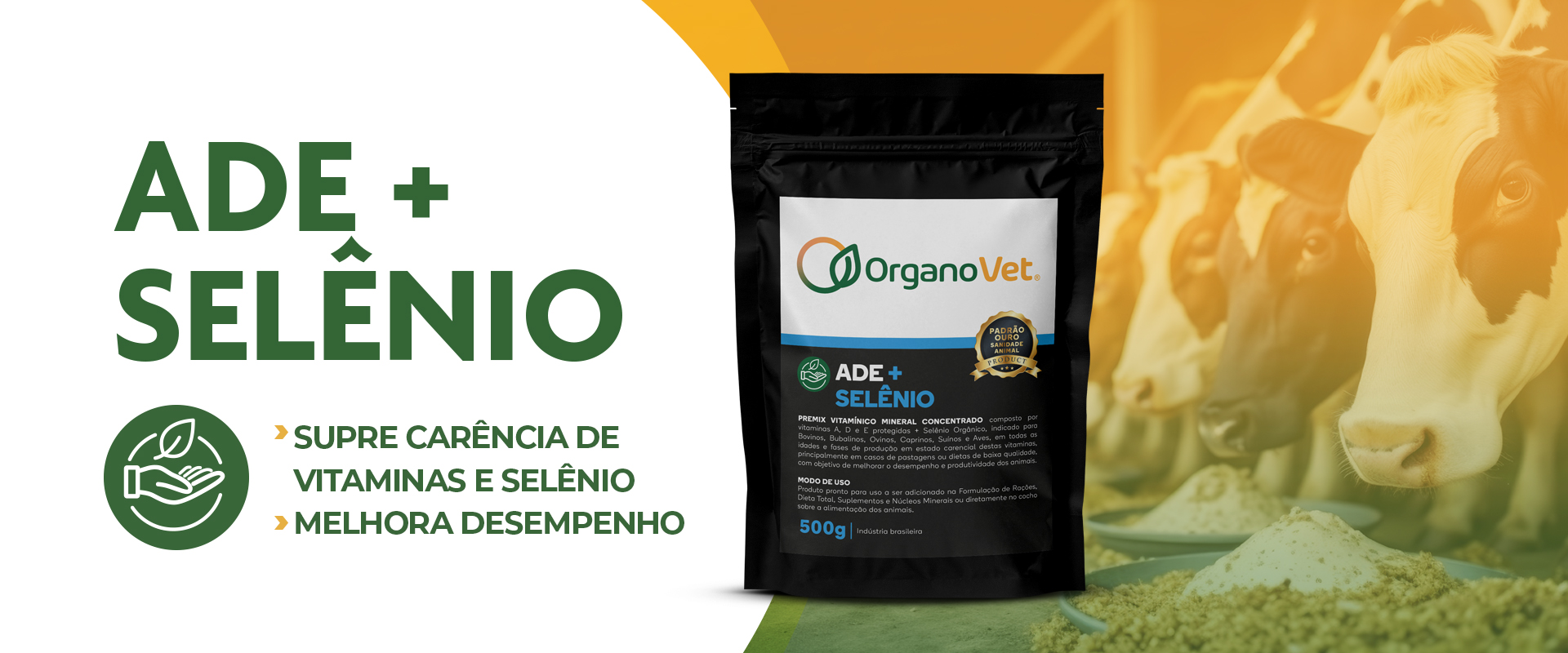 BASE_ADESELENIO_SITE_1920X800px