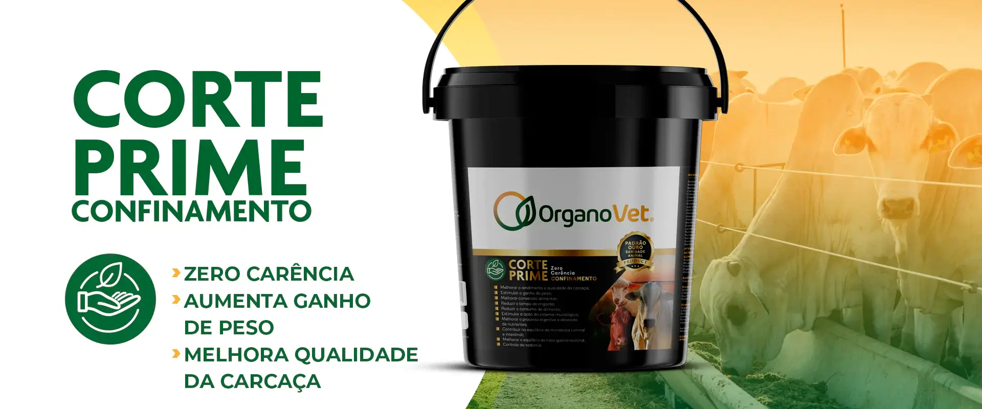 confinamento