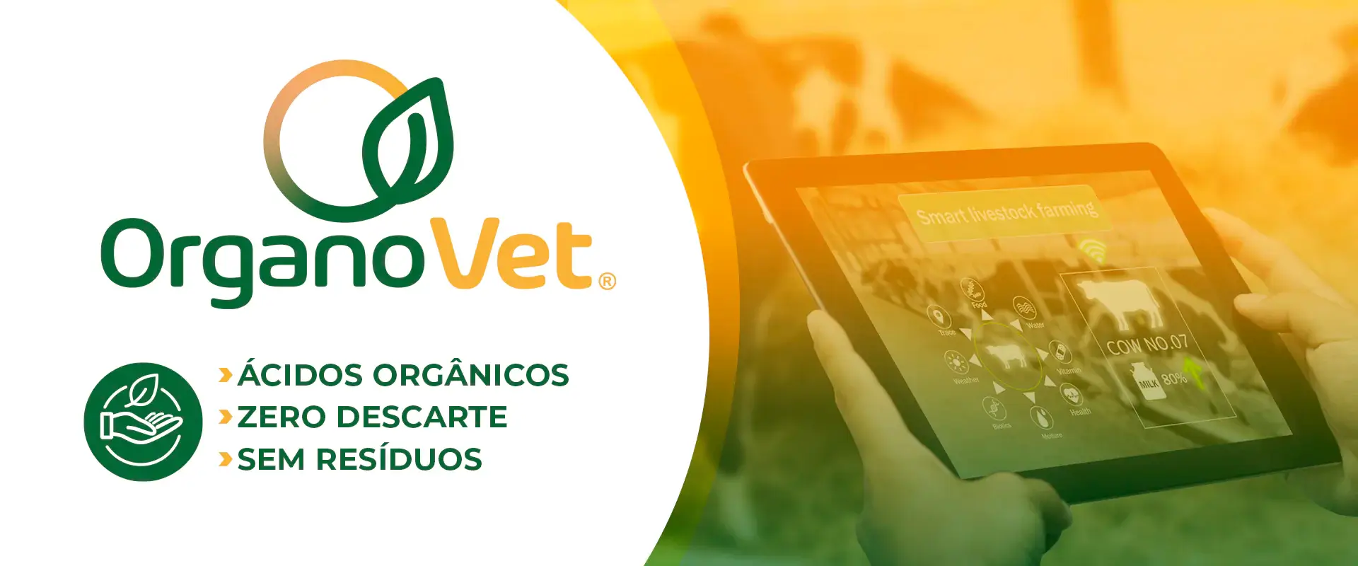 organo